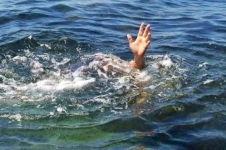 IMG