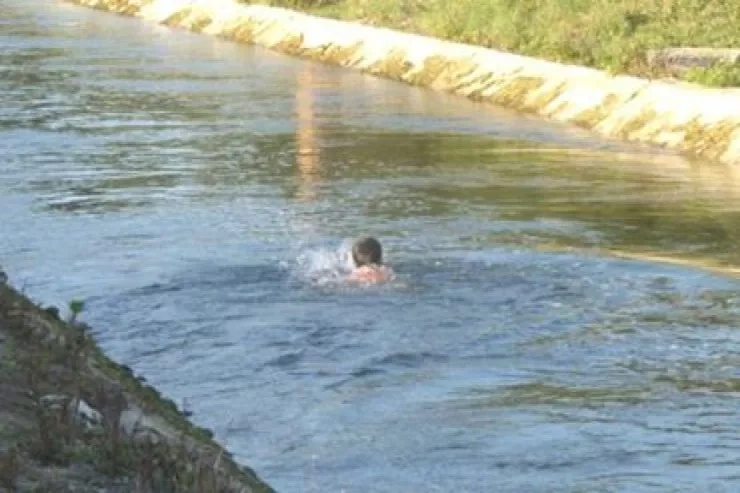 IMG
