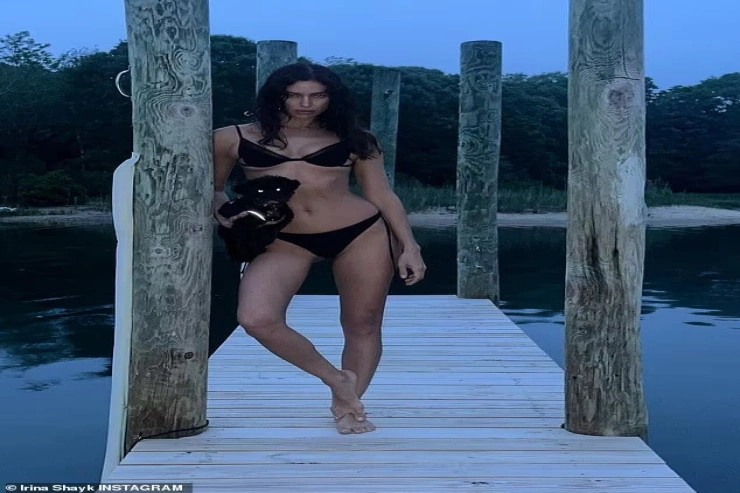 IMG